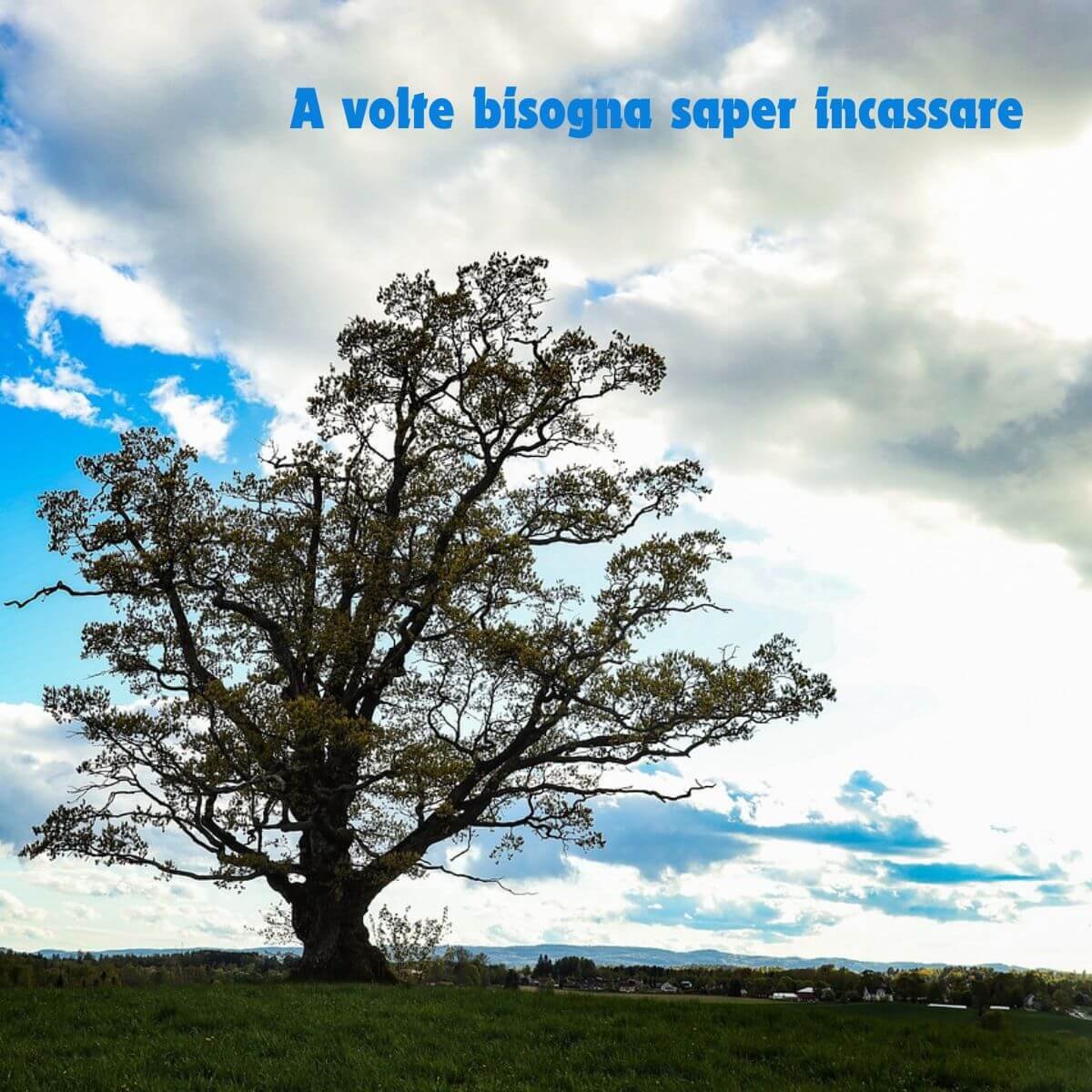 Al momento stai visualizzando A volte bisogna saper incassare